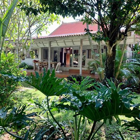 Quiet 3 Br-3 Bathroom Villa In Heart Of Canggu Exterior foto